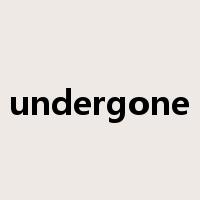 undergone是什么意思