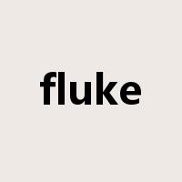 fluke是什么意思