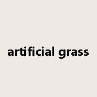 artificial grass是什么意思