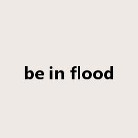 be in flood是什么意思