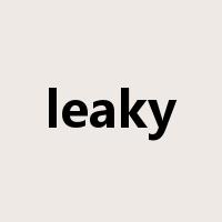 leaky是什么意思