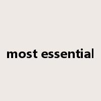 most essential是什么意思