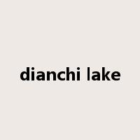 dianchi lake是什么意思