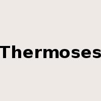 Thermoses是什么意思