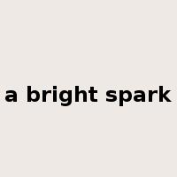 a bright spark是什么意思