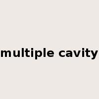 multiple cavity是什么意思
