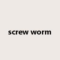 screw worm是什么意思