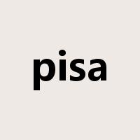 pisa是什么意思