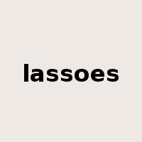 lassoes是什么意思