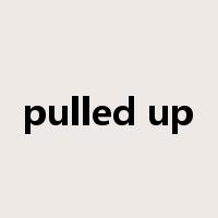 pulled up是什么意思