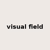 visual field是什么意思