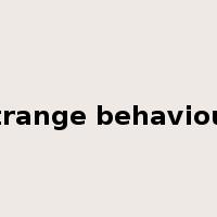 strange behaviour是什么意思
