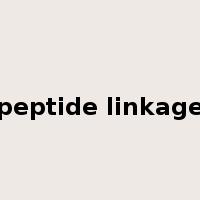 peptide linkage是什么意思