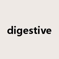 digestive是什么意思