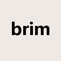 brim是什么意思