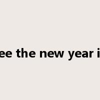 see the new year in是什么意思