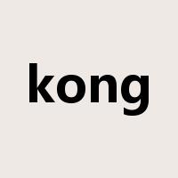 kong是什么意思