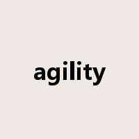 agility是什么意思