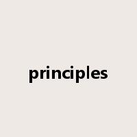 principles是什么意思
