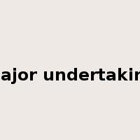 major undertaking是什么意思