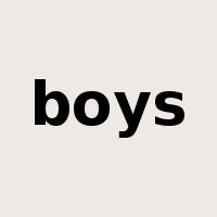 boys是什么意思