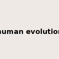human evolution是什么意思