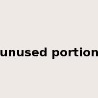 unused portion是什么意思