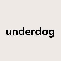underdog是什么意思
