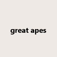 great apes是什么意思