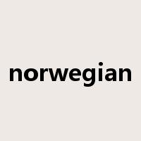 norwegian是什么意思