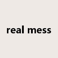 real mess是什么意思