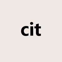 cit是什么意思