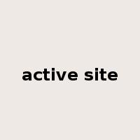active site是什么意思