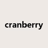 cranberry是什么意思