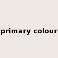 primary colour是什么意思