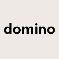 domino是什么意思
