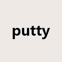 putty是什么意思