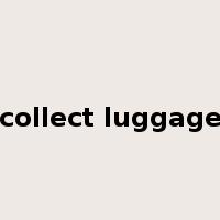 collect luggage是什么意思