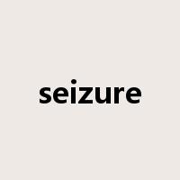 seizure是什么意思