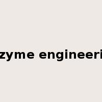 enzyme engineering是什么意思