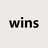 wins是什么意思