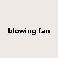blowing fan是什么意思