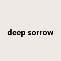 deep sorrow是什么意思