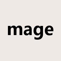 mage是什么意思