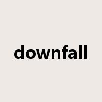 downfall是什么意思
