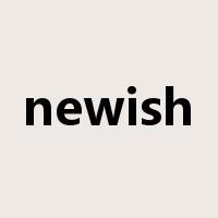 newish是什么意思