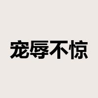 宠辱不惊是什么意思