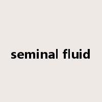 seminal fluid是什么意思