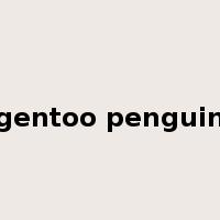 gentoo penguin是什么意思