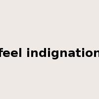 feel indignation是什么意思